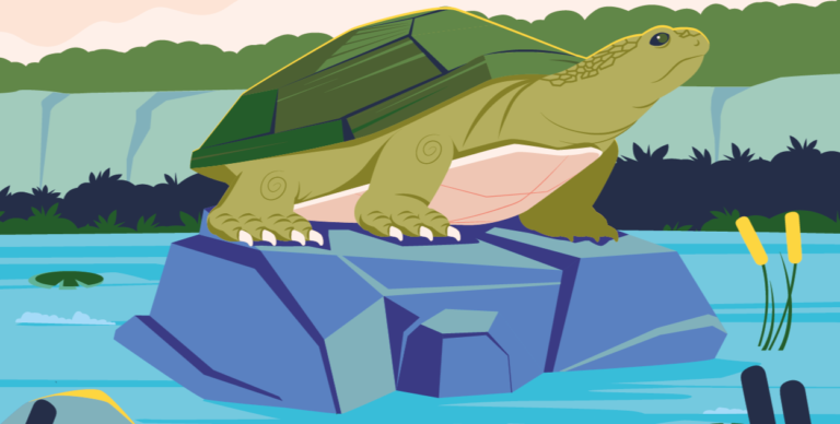 Warsztaty zoologiczne🦎🐢🐍