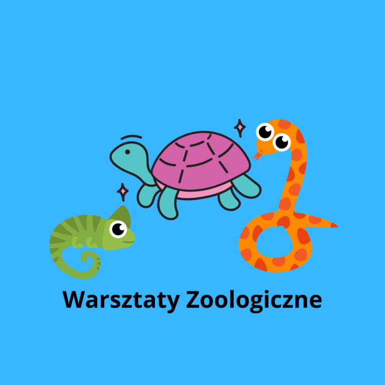 Warsztaty zoologiczne🐍🐢🦎