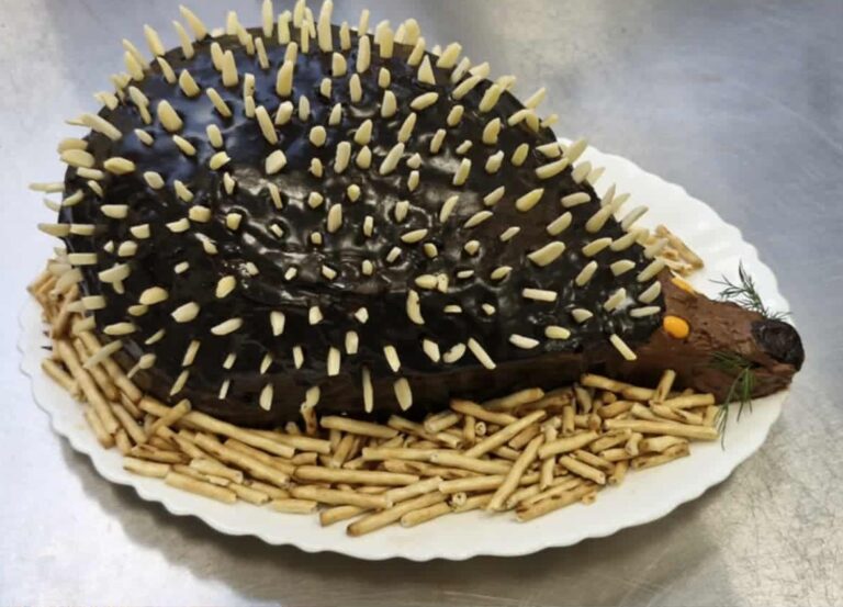 Dzień Jeża🦔