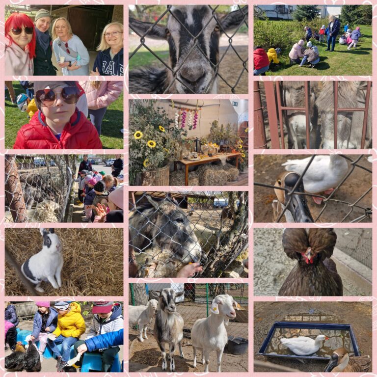 Wycieczka zoologiczna- Folwark Bródno