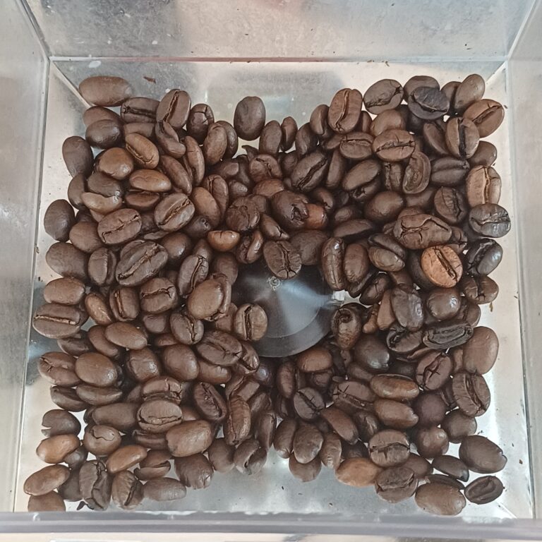 Poznajemy zawody – barista☕