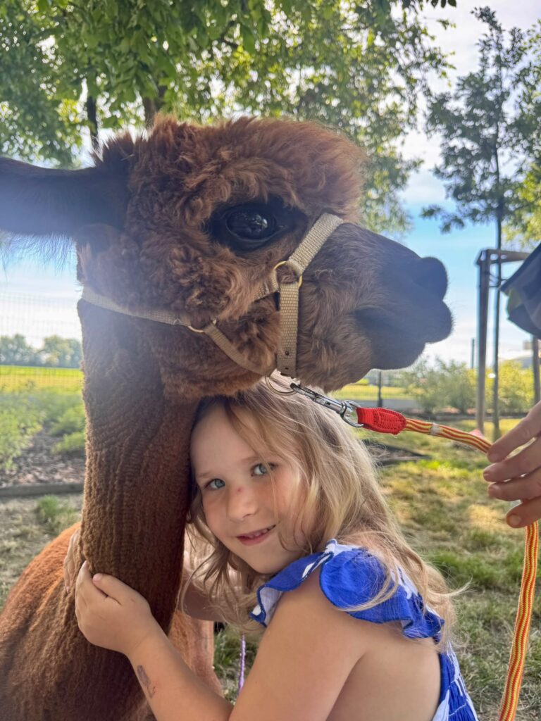 Spotkanie z alpakami🦙
